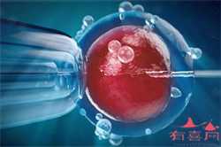 广州供卵医院有哪些地方，供卵查染色体吗