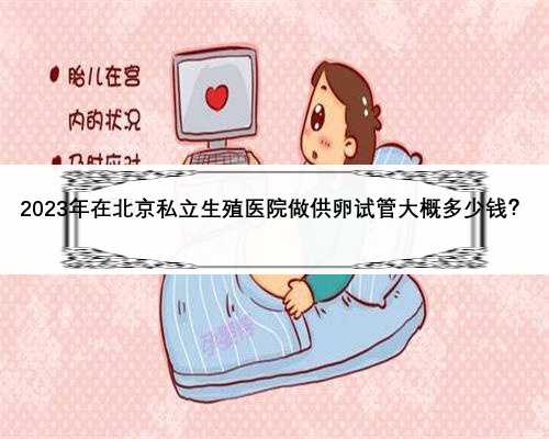 2023年在北京私立生殖医院做供卵试管大概多少钱？