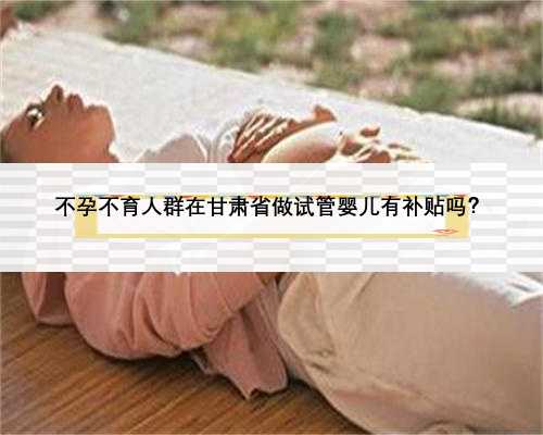 不孕不育人群在甘肃省做试管婴儿有补贴吗？