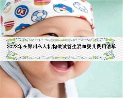 2023年在郑州私人机构做试管生混血婴儿费用清单