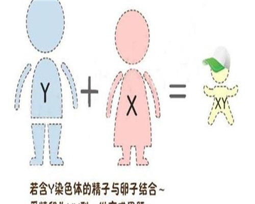 辅助生殖科普